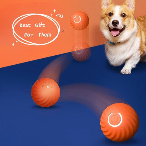 INTERACTIVE DOG RUBBER BALL TOY - BITE RESISTANT PET TRAINING TOY